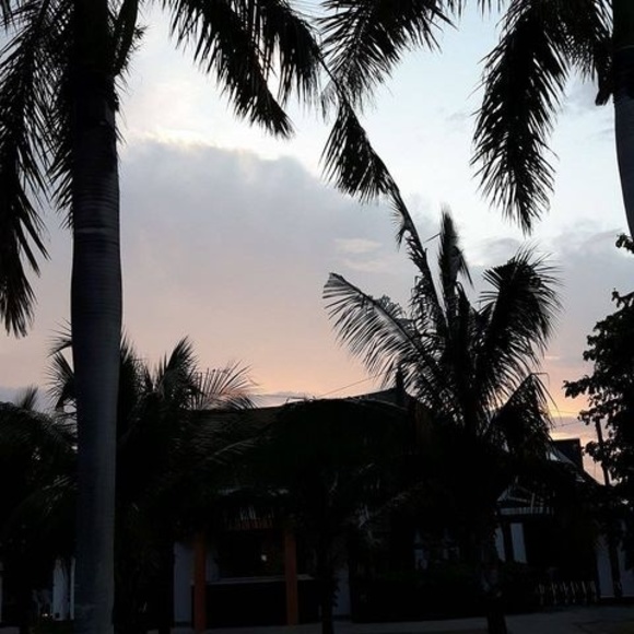 Meet your Posher, Steve - Picture 1 of 1